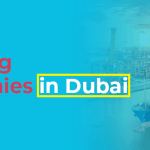 Logistic Company in Dubai – Shipping Companies To Dubai