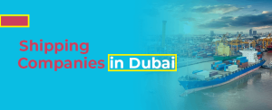 Logistic Company in Dubai – Shipping Companies To Dubai